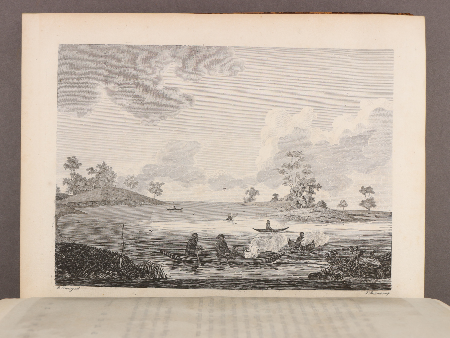 Plate 4